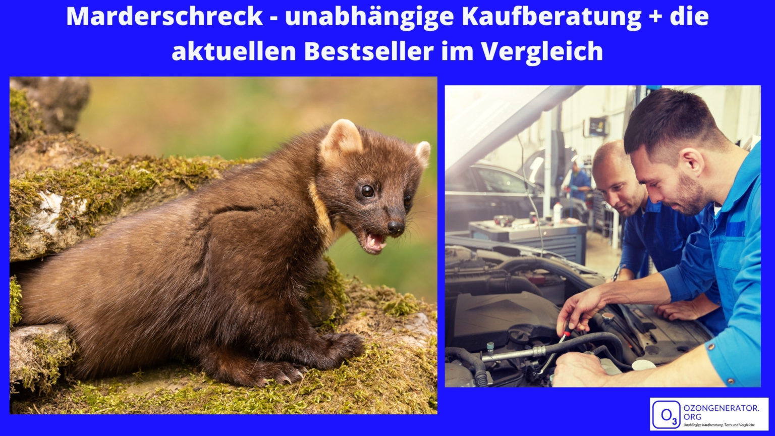 Marderschreck Test 2025 Die besten 5 Testsieger im Vergleich [NEU]